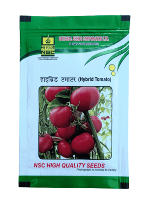 NSC Hybrid Tomato - Kashi Abhiman