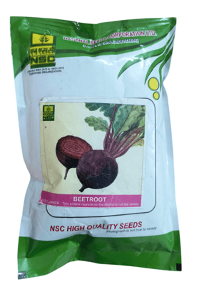 NSC Beetroot-DDR