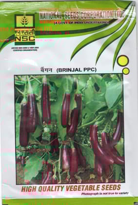 NSC Brinjal PPC 10g Truthful Label Seed
