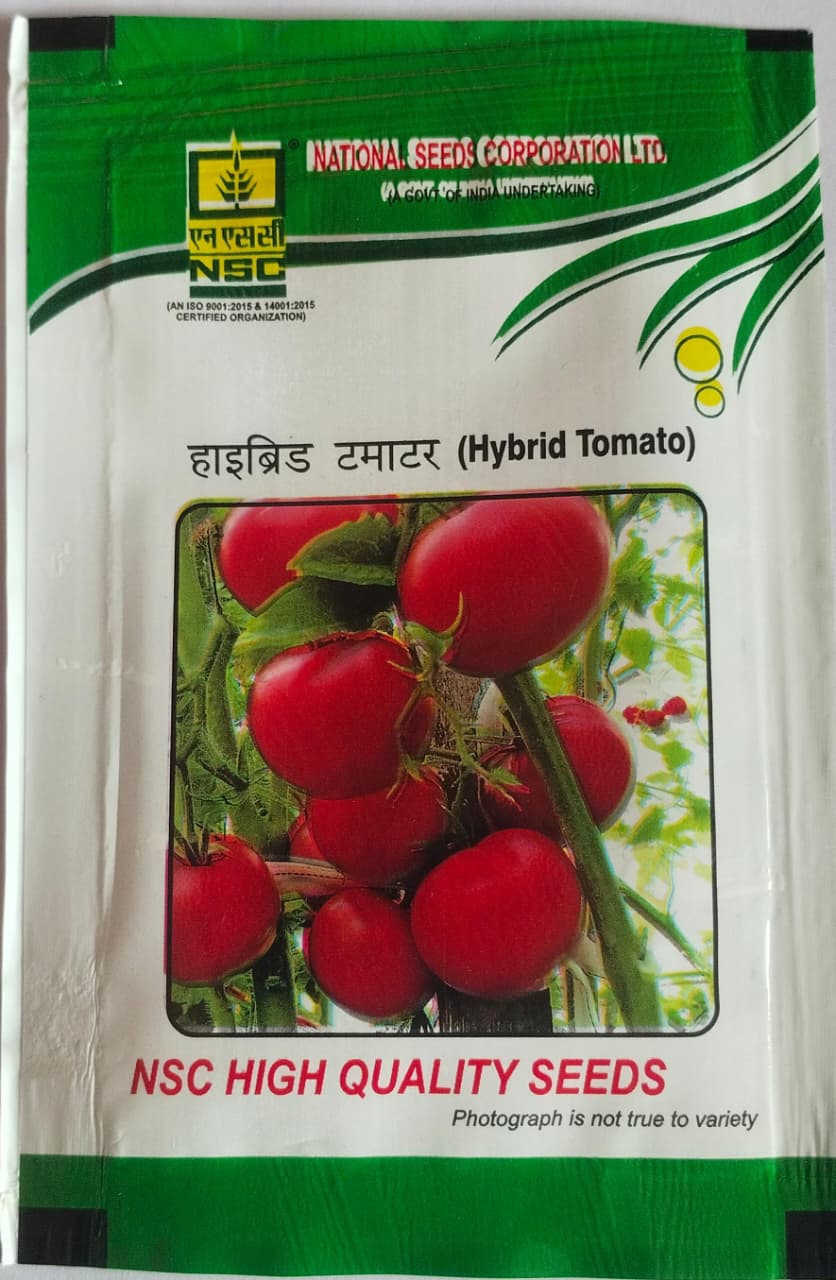 NSC Vegetable seed- TOMATO/ KASHI ABHIMAN -5 gm
