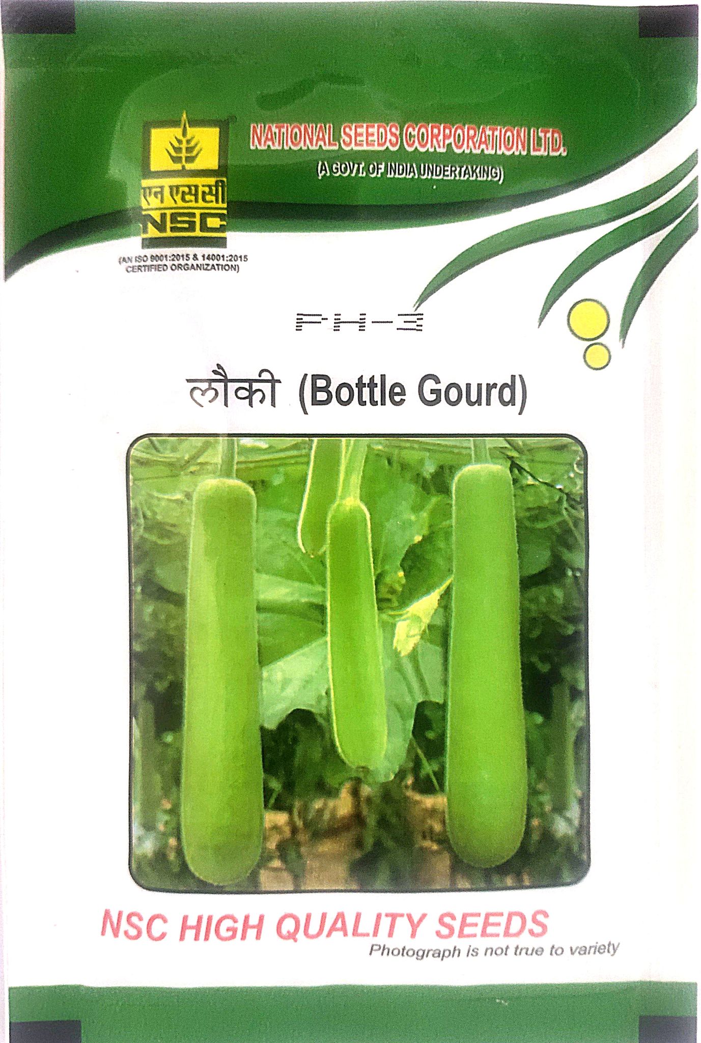 NSC Bottle gourd PH-3, 10 gram T/L Seeds