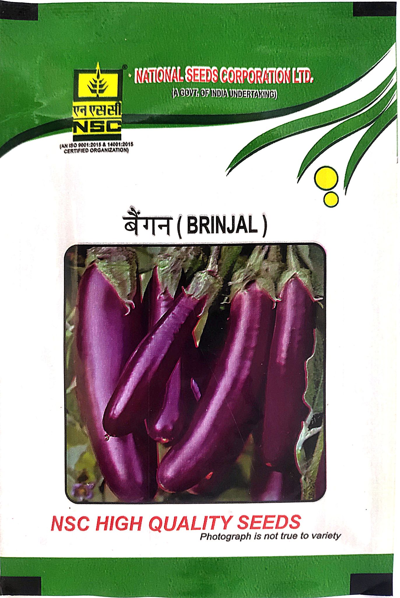 NSC Brinjal Pusa Purple Long (PPL), 10 gram T/L Seeds