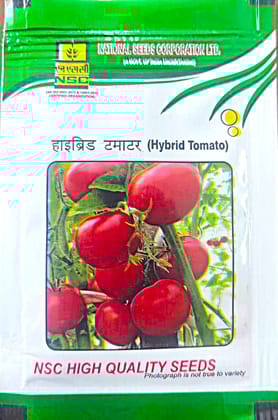 TOMATO - KASHI ABHIMAN-TL