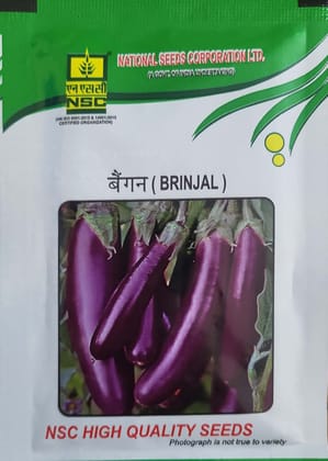 NSC Brinjal Variety - Pusa Purple Long Truthful Labelled (TL) Seed 40 gm ( 4 packet of 10gm each )