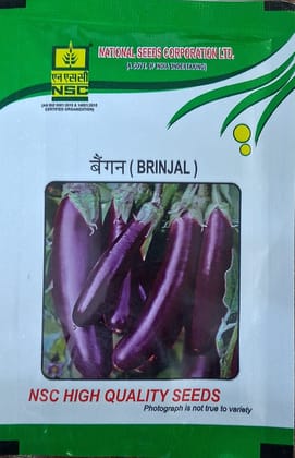 Brinjal PPL 10 gm TL Seed Brinjal PPL 10 gm TL Seed