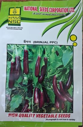 BRINJAL PPC 10 GM TL BRINJAL PPC 10 GM TL
