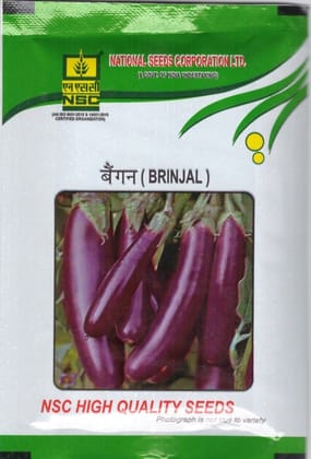 NSC- Brinjal, Variety- PPL, 10gm Truthful Label