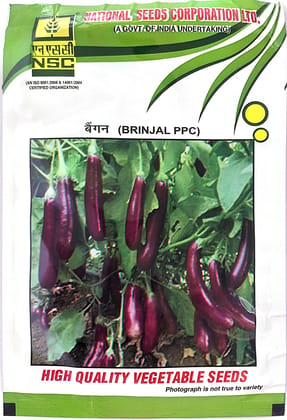 NSC Brinjal Pusa Purple Cluster (PPC), 10 gram T/L Seeds   