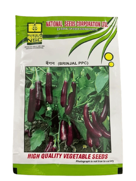 NSC BRINJAL VARITEY-PPC VEGETABLE SEEDS