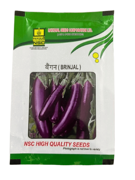 NSC BRINJAL VARIETY-PPL(Pusa Purple Long ) VEGETABLE SEEDS