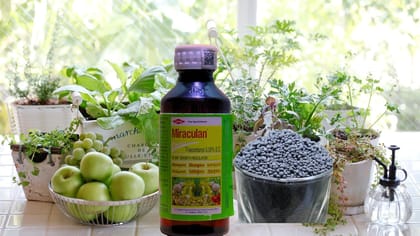 MIRACULAN PESTICIDE