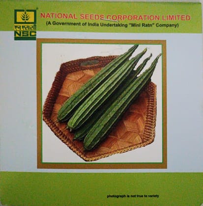 Ridgegourd ( Kashi Nanda )