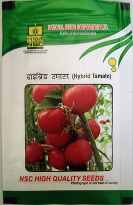 Tomato Seeds – Kashi Abhiman Variety