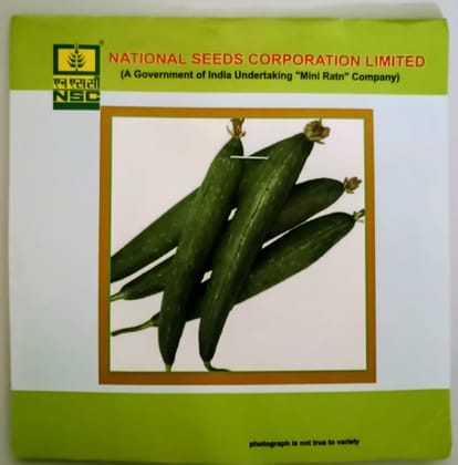 Sponge Gourd – Kashi Jyoti Variety