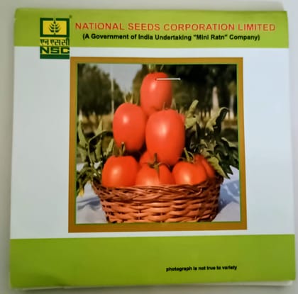 Tomato Seeds – Kashi Aman Variety