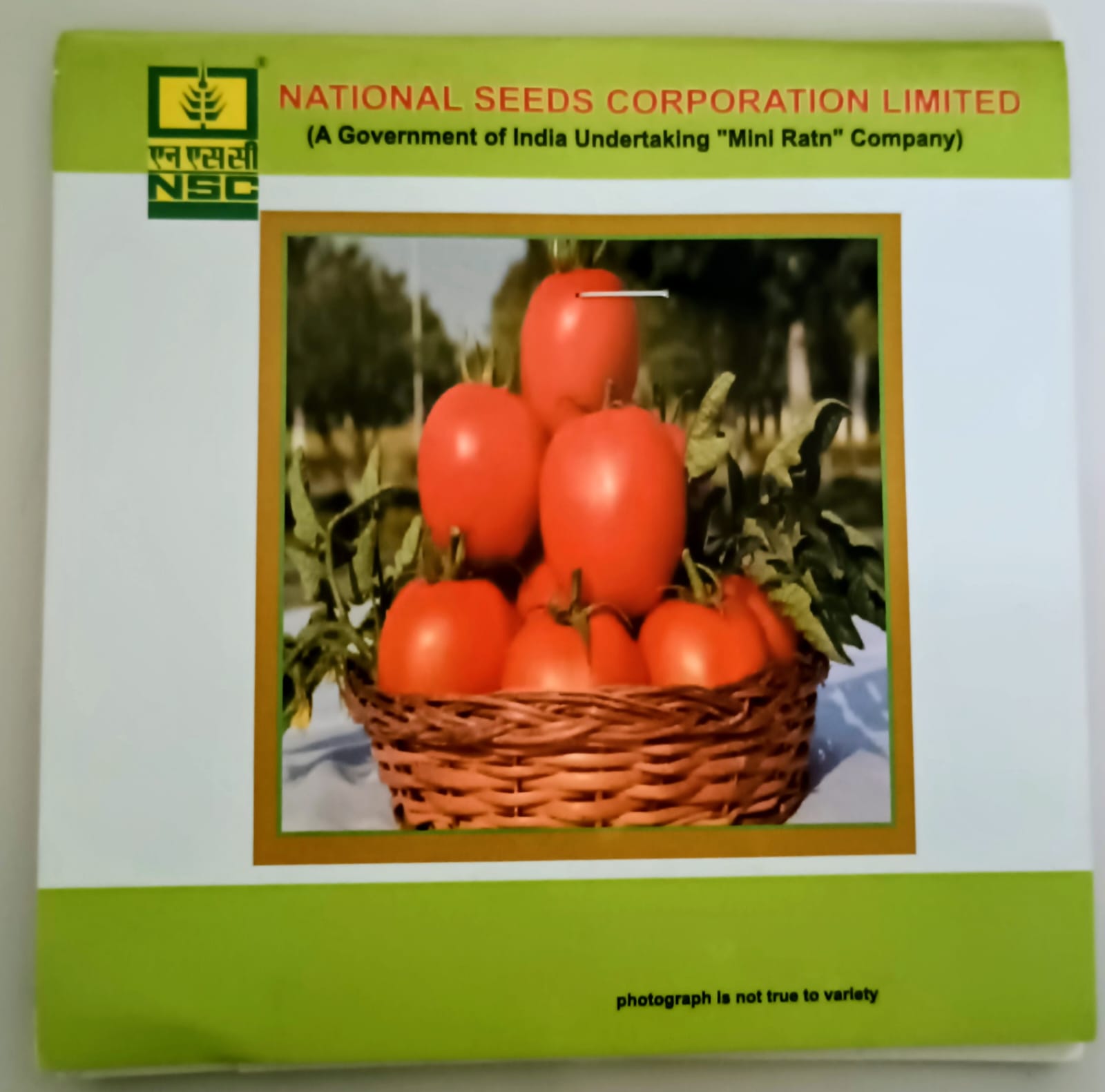 Tomato Seeds – Kashi Aman Variety