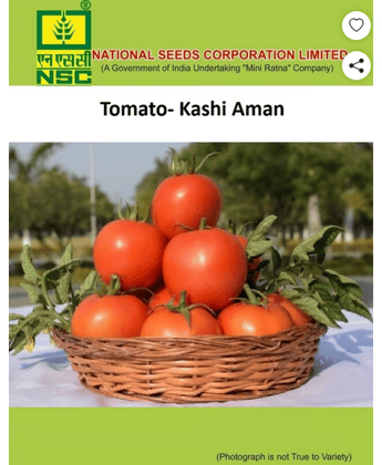 NSC Tomato Kashi Aman, 5 gram 