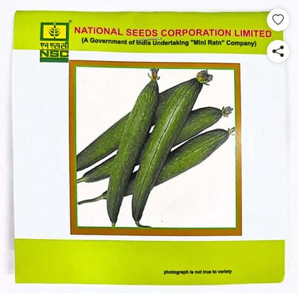 NSC - SPONGE GOURD VARIETY KASHI JYOTI HIGH QUALITY SEEDS - 5 GMS POUCH