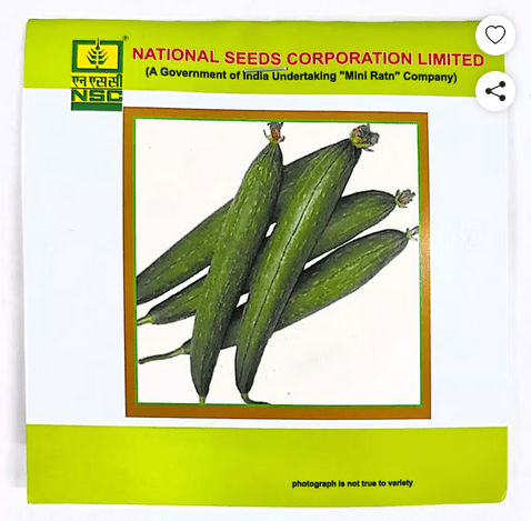 NSC - SPONGE GOURD VARIETY KASHI JYOTI HIGH QUALITY SEEDS - 5 GMS POUCH