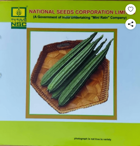 NSC RIDGEGOURD KASHI NANDA 5 gm