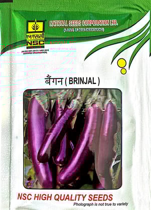 NSC Brinjal PPL Seeds - 10 GM