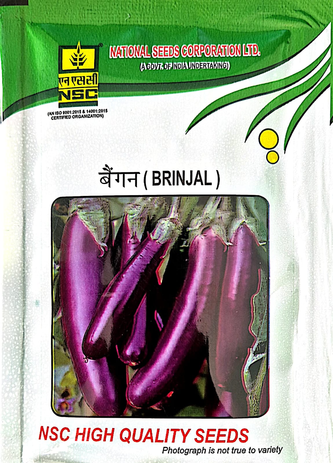 NSC Brinjal PPL Seeds - 10 GM