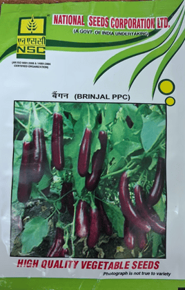 NSC BRINJAL PPC 10 GM 
