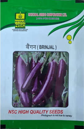 Brinjal PPL 10 gm