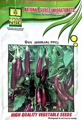 NSC Brinjal PPC – 10 g NSC Brinjal PPC – 10 g