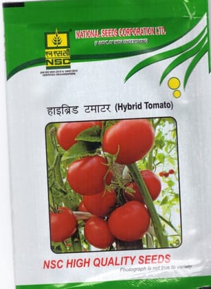 NSC Tomato Kashi Abhiman, 5g Hybrid Seed