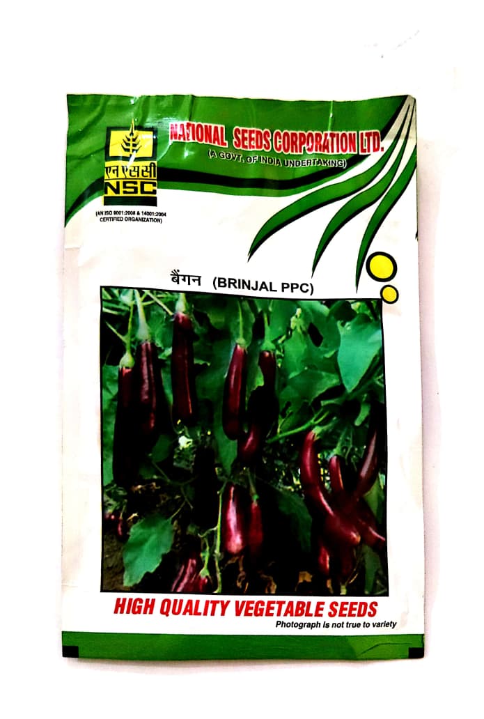 NSC High-Quality Brinjal /PPC  Vegetable Seeds for Home Gardening 10 Gm T/L