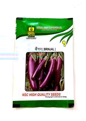 NSC High-Quality Brinjal /PPL Vegetable Seeds for Home Gardening 10 Gm T/L