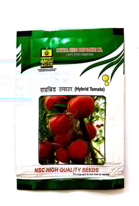 NSC Tomato Kashi Abhiman Variety Hybrid F1, 5 gram T/L Seed