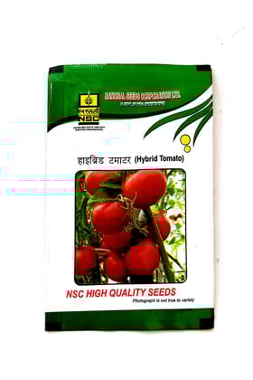 NSC Tomato Kashi Abhiman Variety Hybrid F1, 5 gram T/L Seed