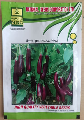 Brinjal PPC