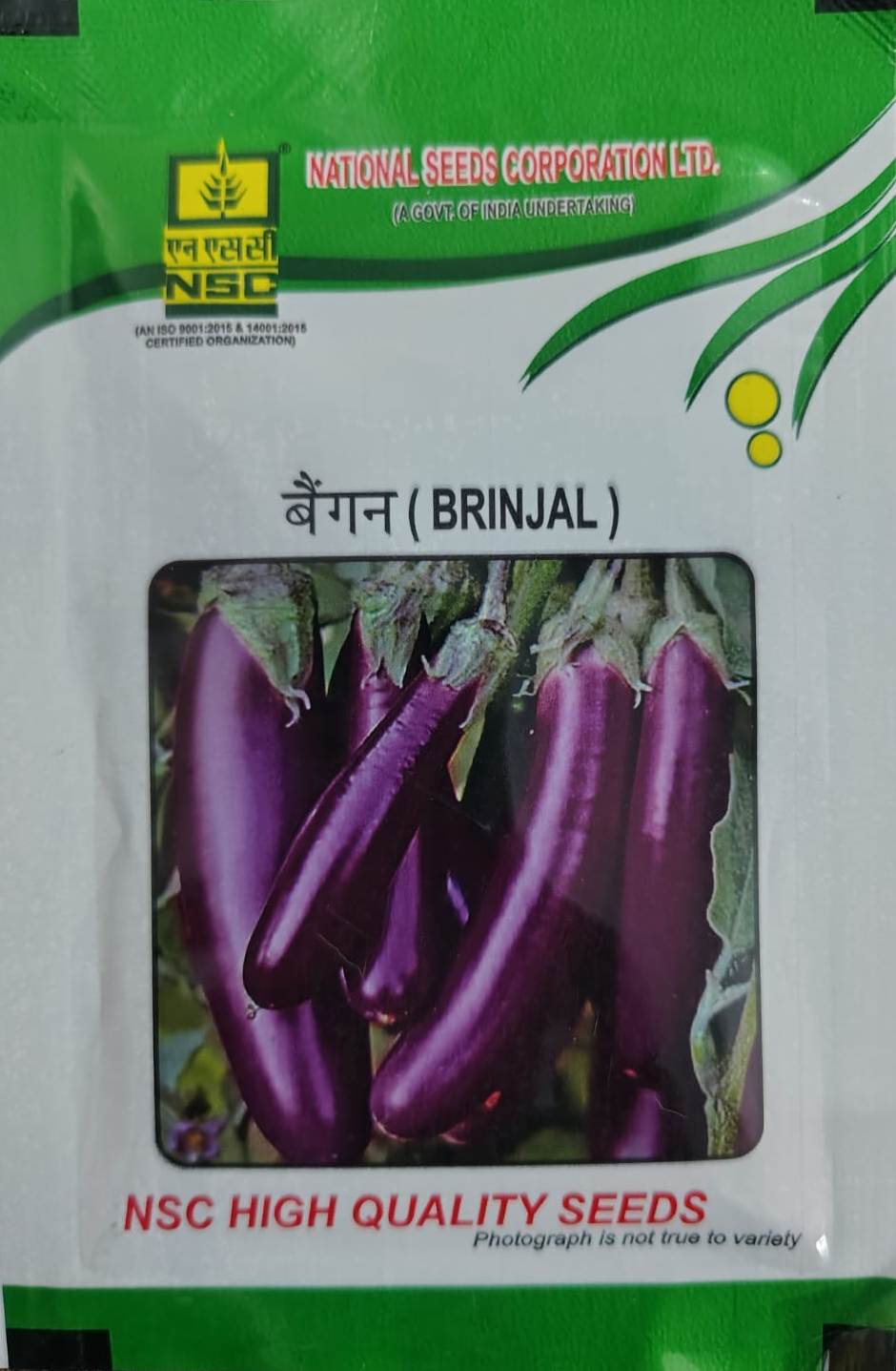 NSC BRINJAL PPL 10GM