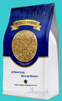PB 1847 Basmati Paddy Seed – High Yield Variety | Kosco Hybrid