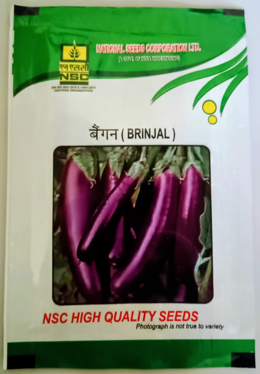 Brinjal (PPL)