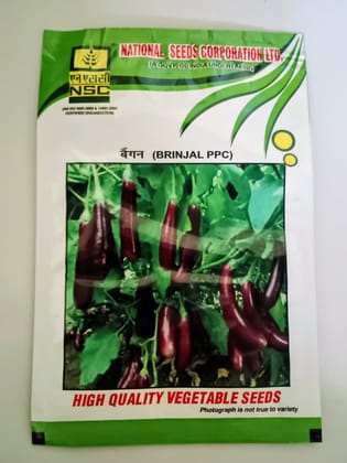 Brinjal (PPC)