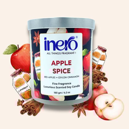 Apple Spice Scented Soy Candle