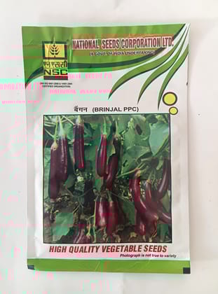 NSC Brinjal Pusa Purple Cluster (PPC) variety, 10 gram T/L seed