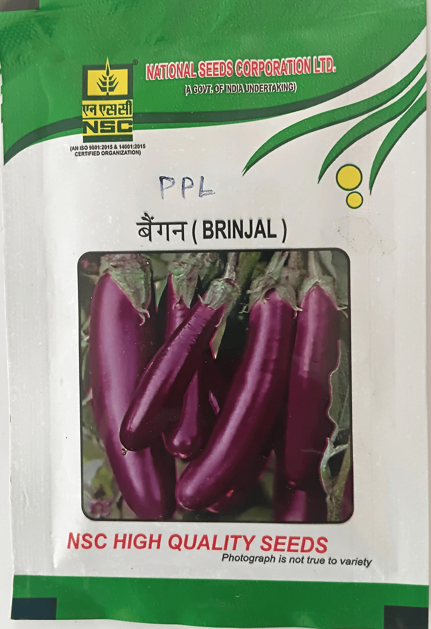 NSC Brinjal Pusa Purple Long (PPL) variety, 10 gram T/L seed