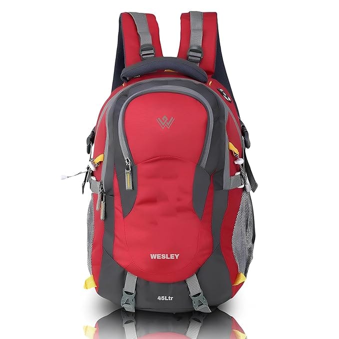 Wesley Spartan Unisex Travel Hiking Laptop Bag fits Upto 17.3 inch with Raincover and Internal Organiser Backpack Rucksack College Backpack