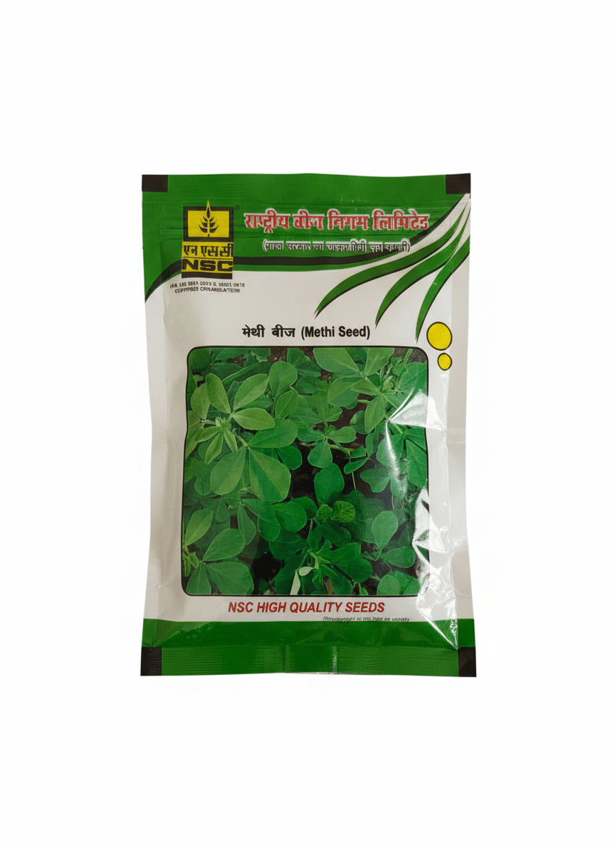 NSC Methi Seed - High-Quality Fenugreek Seeds for Gardening