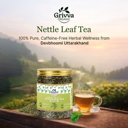 GRIVVA ORGANIC - Nettle Leaf Tea - 50 g | From Devbhoomi Uttarakhand | 100% Pure & Natural | Detox & Immunity Booster Herbal Tea | Caffeine-Free | Rich in Iron, Calcium & Antioxidants | Reusable Jar