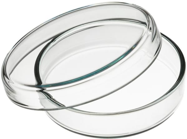 NSAW PETRI DISHES