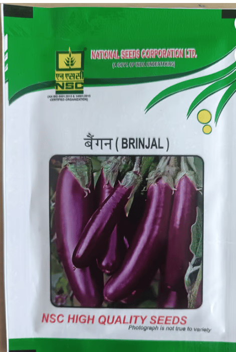 NSC Brinjal PPL
