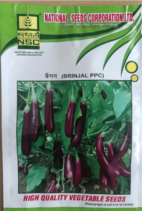 NSC Brinjal PPC