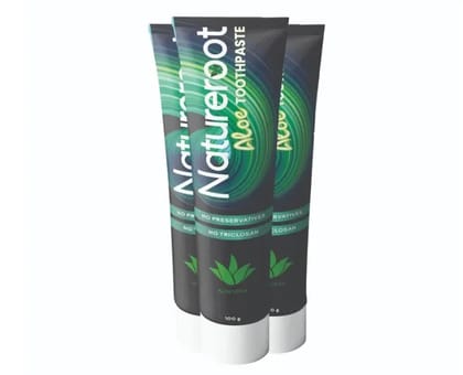 Darjuv9 Natureroot Aloe Toothpaste Darjuv9 Natureroot Aloe Toothpaste