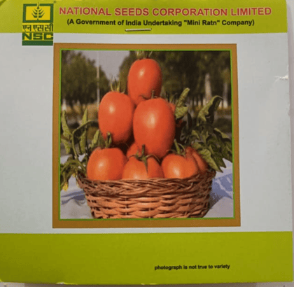 TOMATO /KASHI AMAN TL 5 GM